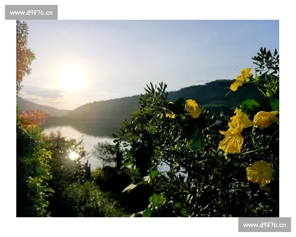 《在命运交织的时光隧道中,我们如何选择自己的归属与未来》 《在命运交织的时光隧道中,我们如何选择自己的归属与未来》